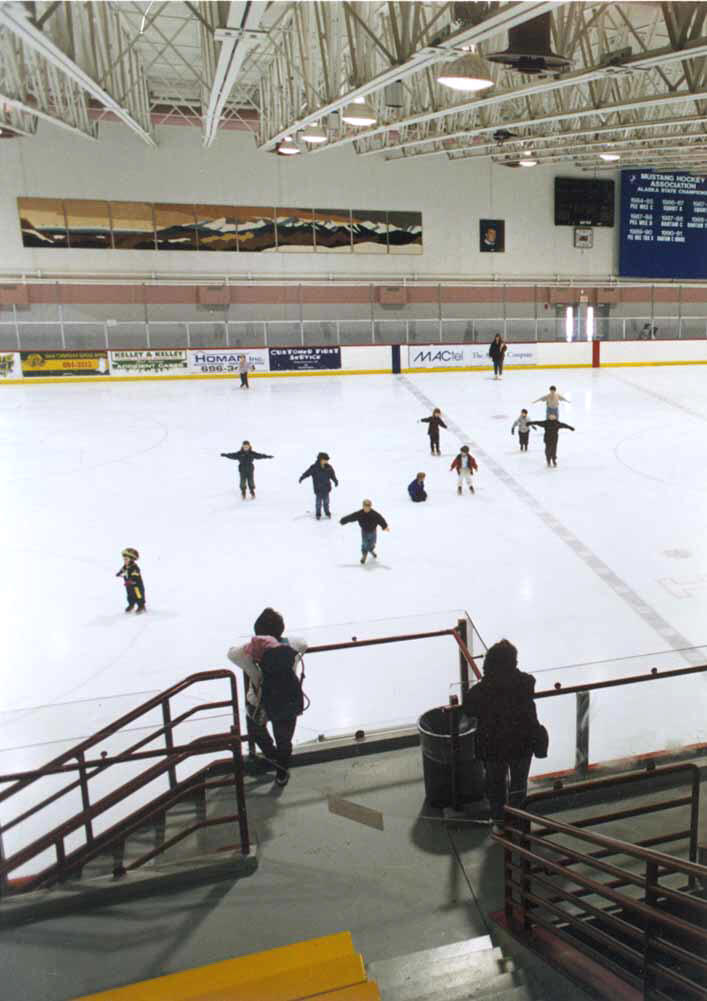 skate.jpg (62335 bytes)